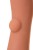 Насадка на фаллос с имитацией пирсинга Extreme Sleeve 001 M-size - 14,7 см.