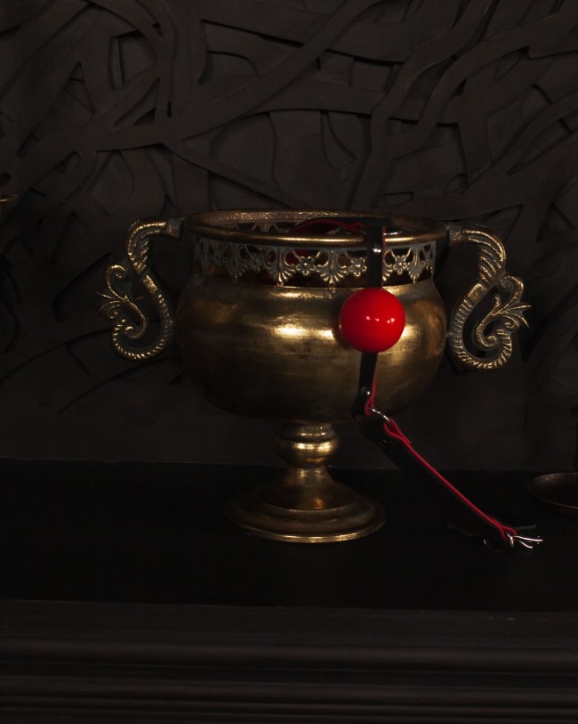 Красный силиконовый кляп-шар Scandal с черным ремешком из натуральной кожи Красный силиконовый кляп-шар Scandal с черным ремешком из натуральной кожи