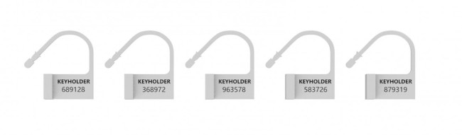 Набор запасных замков для пояса верности из 5 штук с ключиками