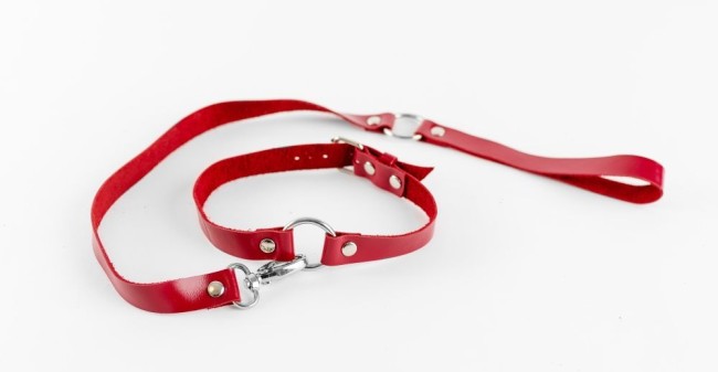 Красный чокер из натуральной кожи с поводком Красный чокер из натуральной кожи с поводком