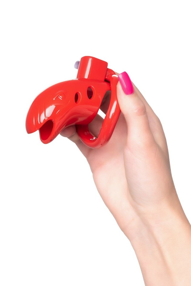 Красный мужской пояс верности из пластика Красный мужской пояс верности из пластика