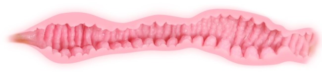 Телесный мастурбатор Veronia с двойным слоем материала Телесный мастурбатор Veronia с двойным слоем материала