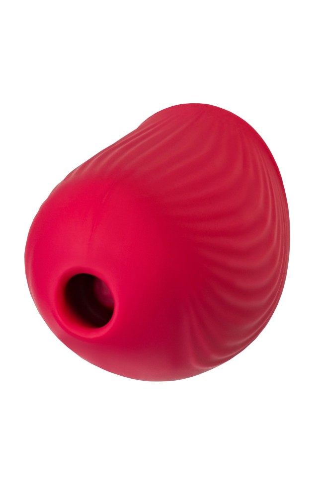 Красный вакуум-волновой стимулятор клитора Birdie Красный вакуум-волновой стимулятор клитора Birdie